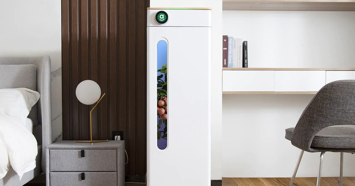 Abby Grow Box