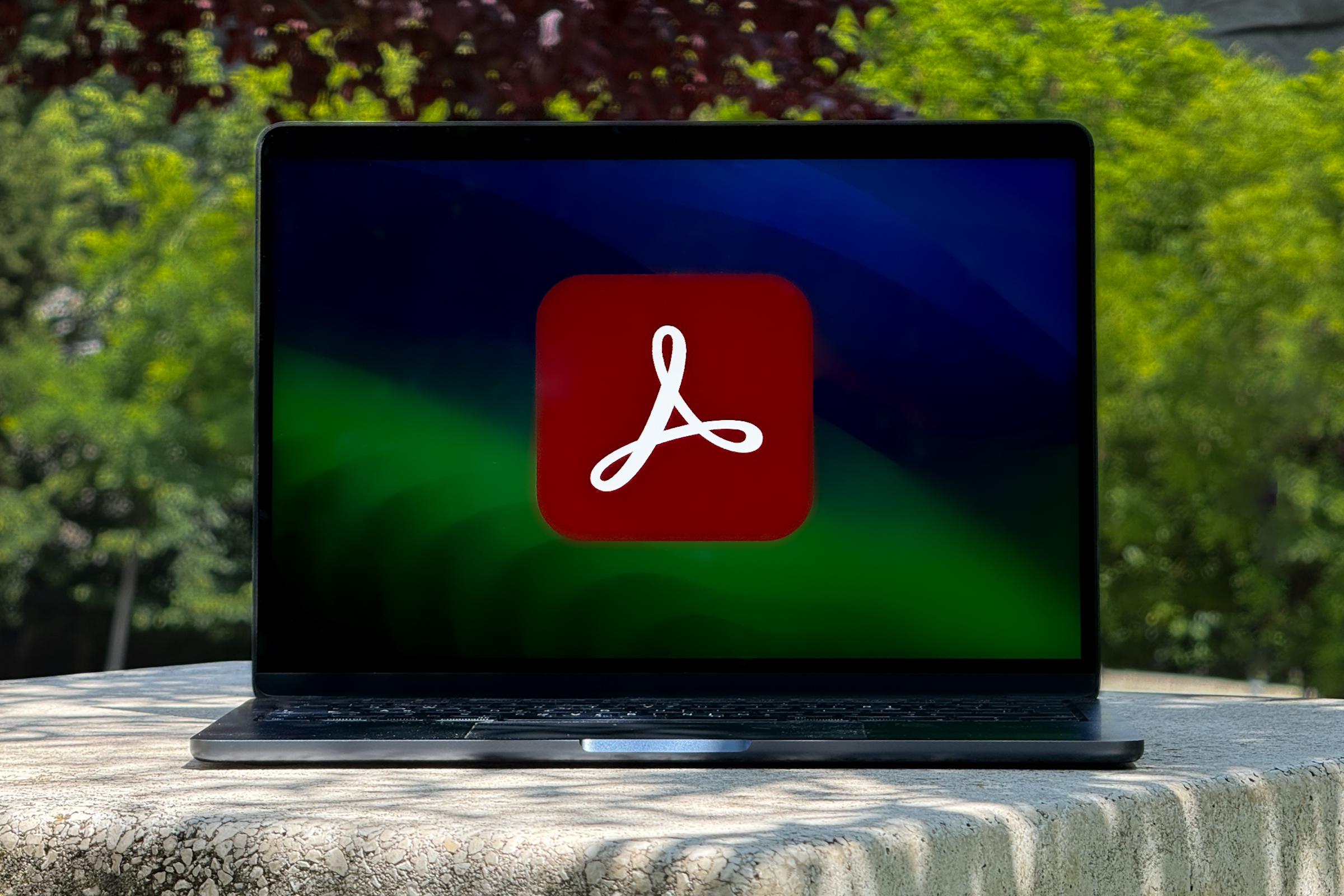 Adobe Acrobat