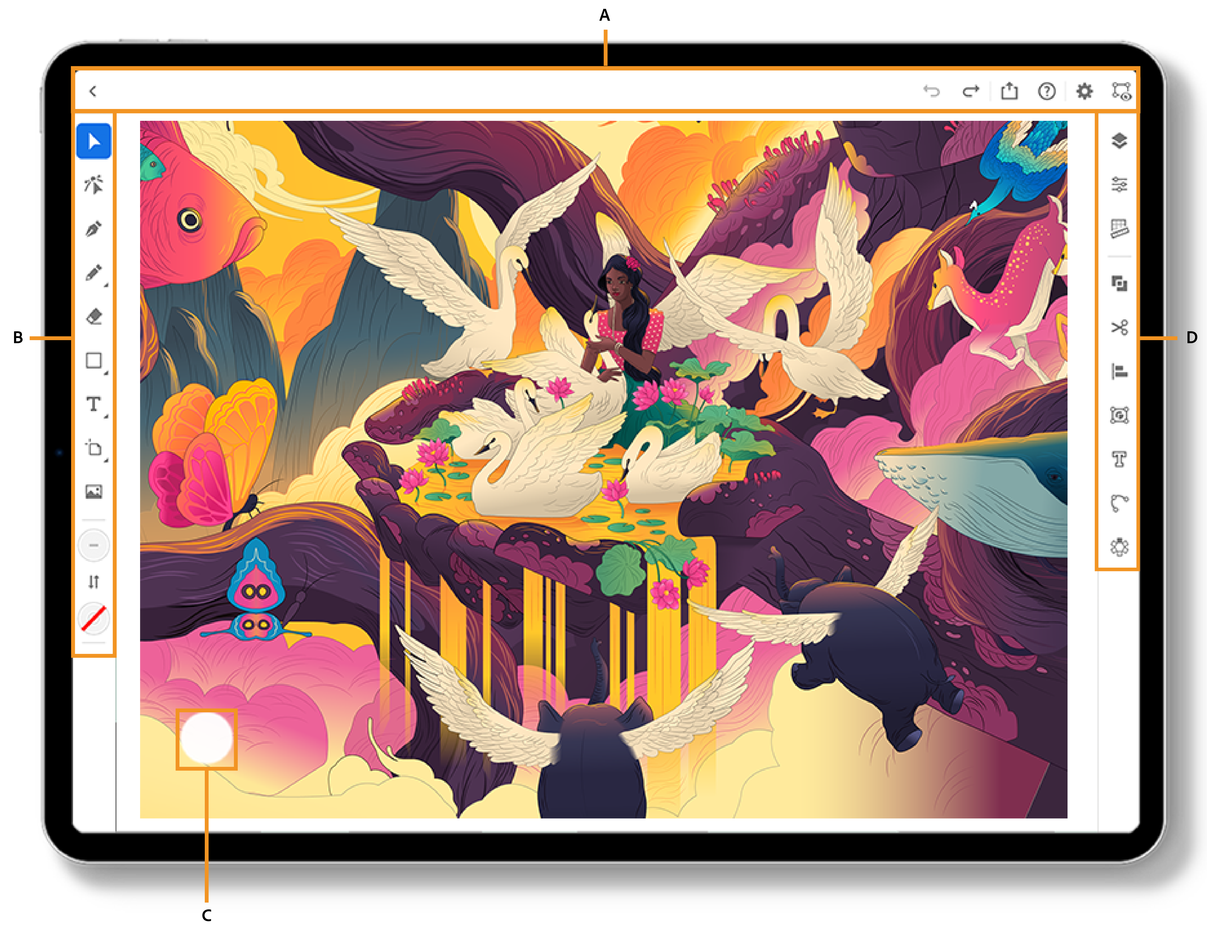 Adobe Illustrator For iPad