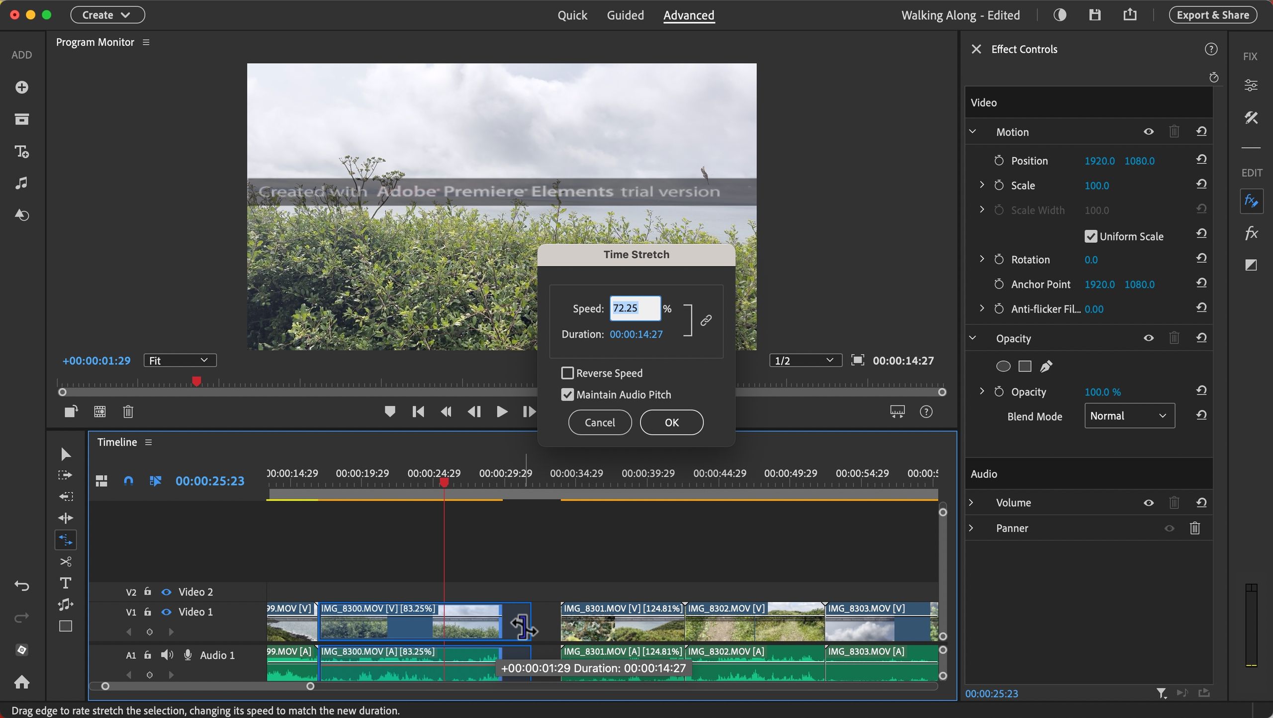 Adobe Premiere Elements 2025