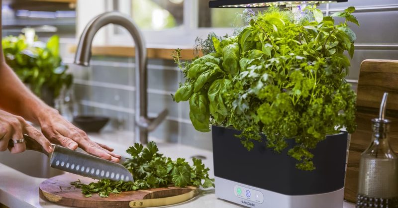 Aerogarden Smart Garden