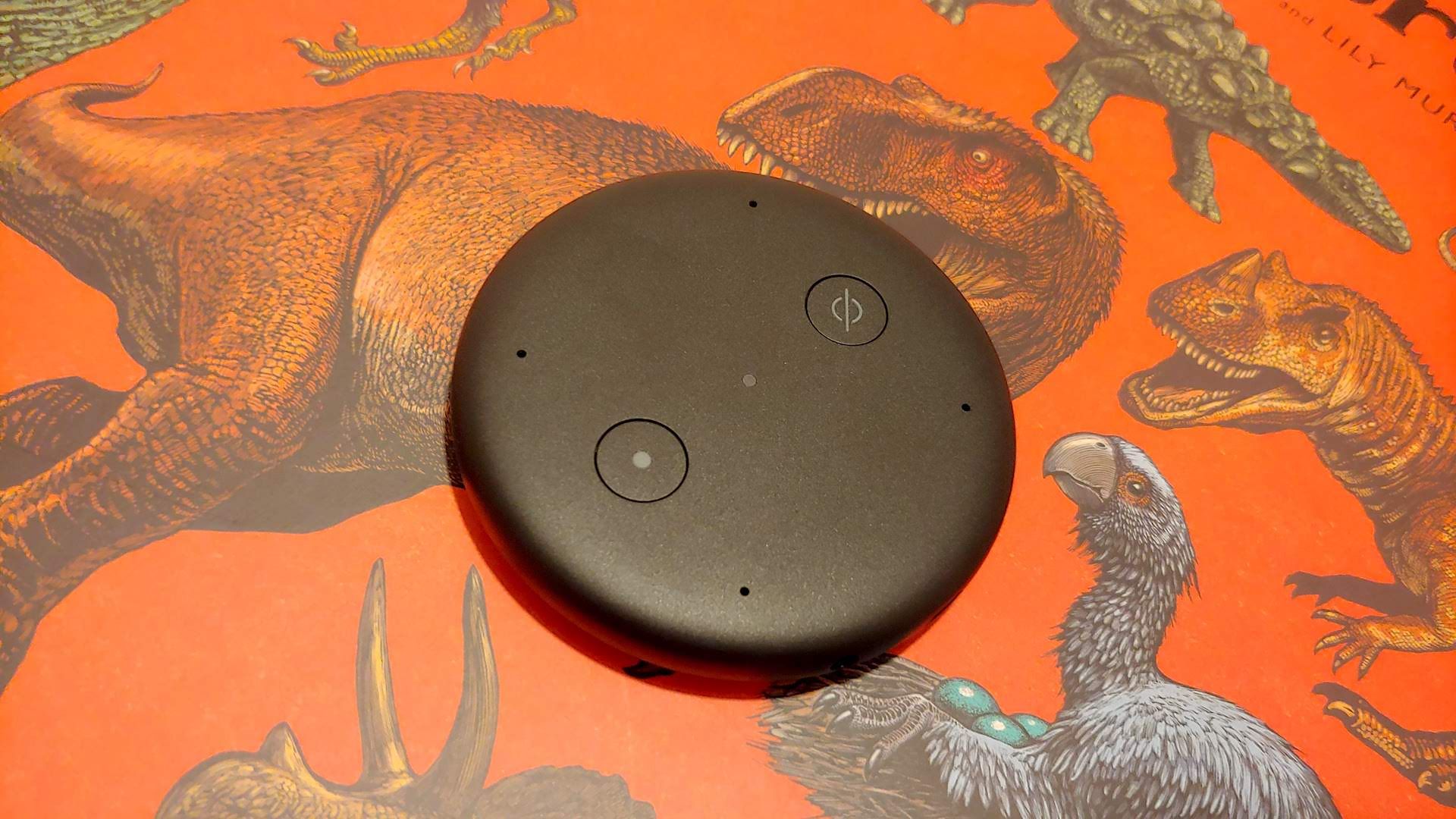 Amazon Echo Input