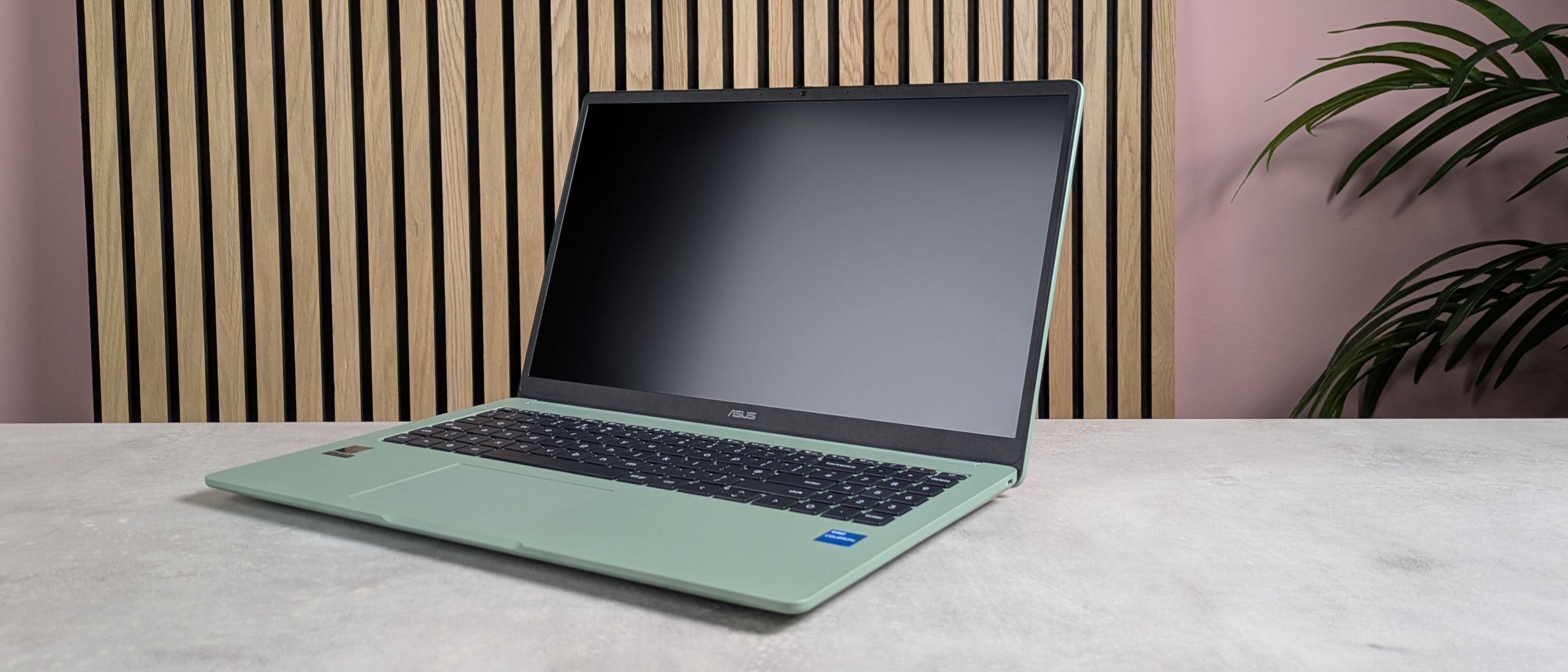 ASUS Chromebook CX15