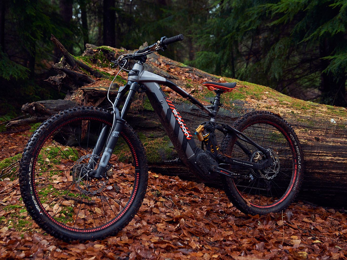 Audi Electric Mountain Bike