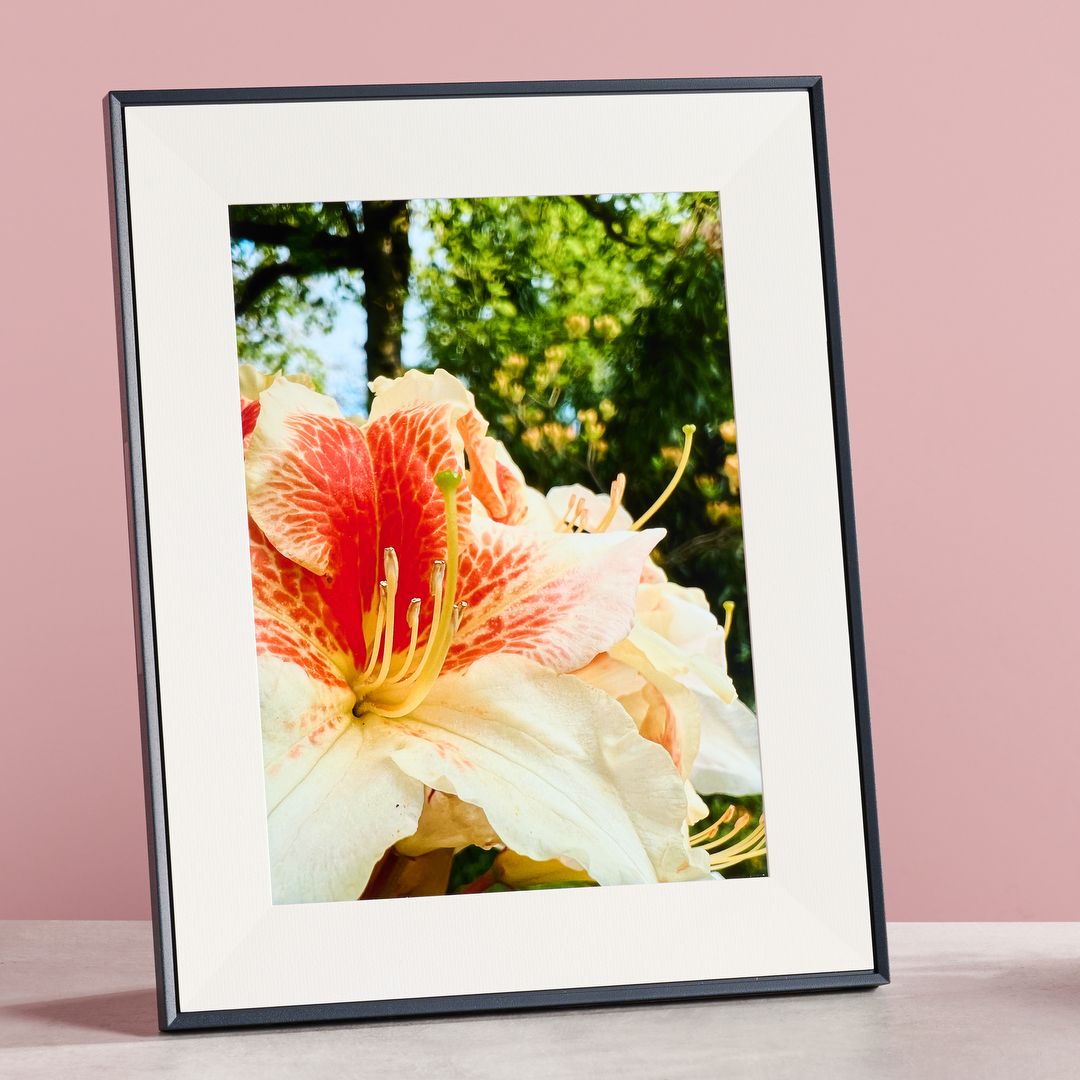 Aura Aspen digital photo frame