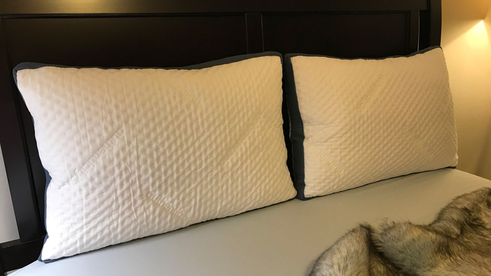 Authenticity50 Custom Comfort Pillow