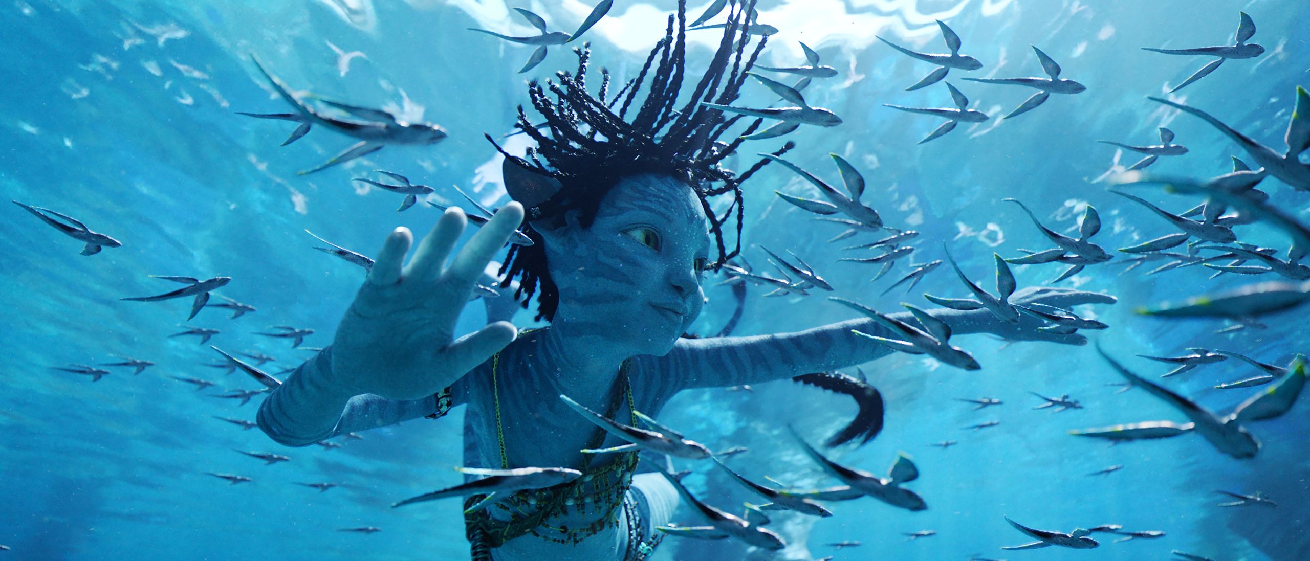 Avatar The Way Of Water