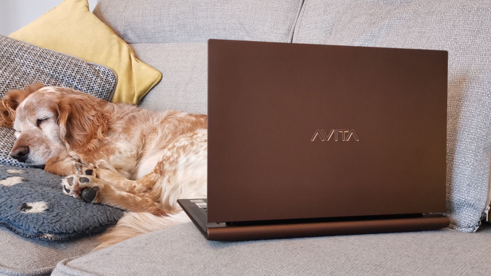 Avita Admiror Notebook