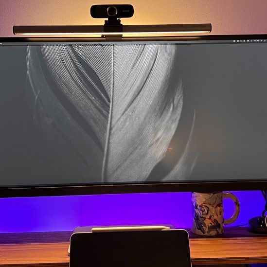 Benq PD3420Q