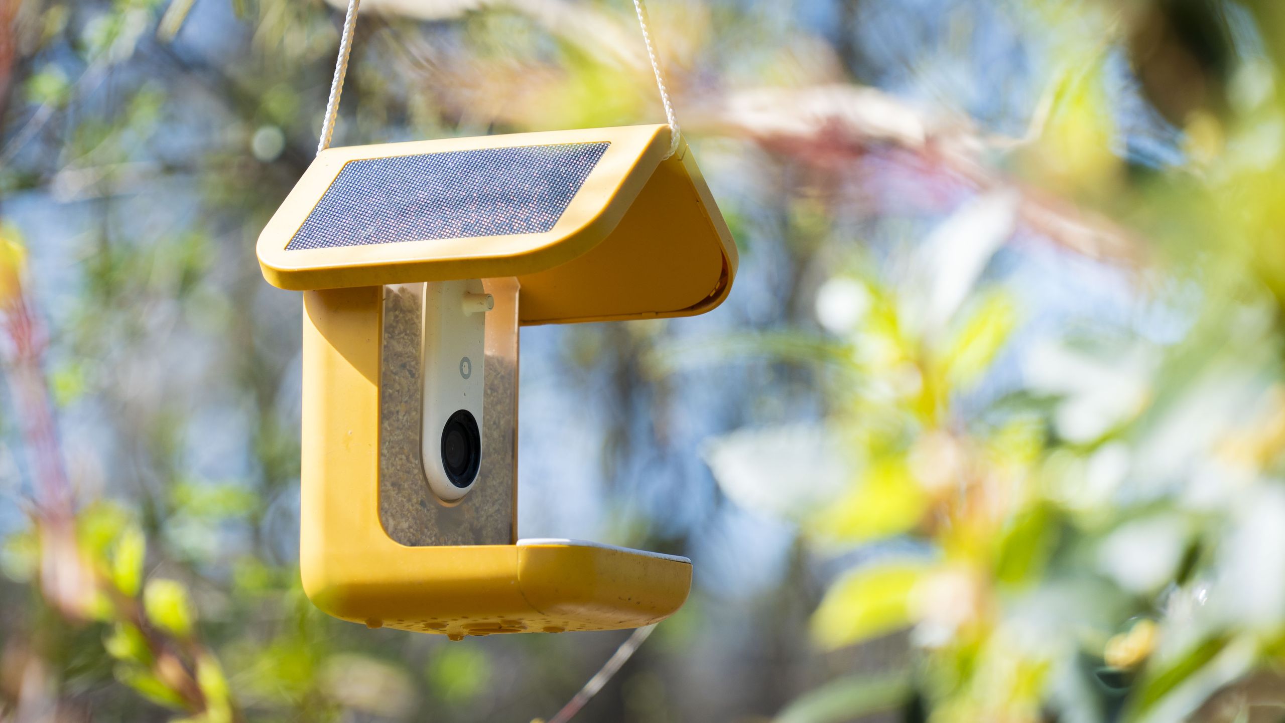Bird Buddy Smart Feeder Pro