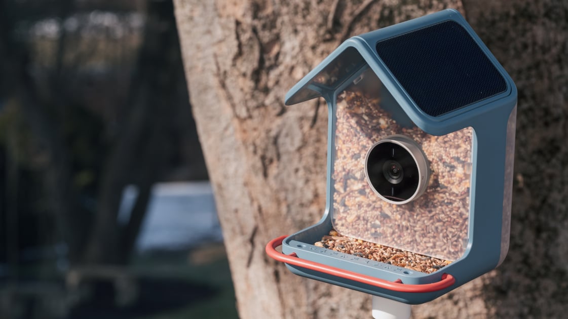 Birdbuddy Home