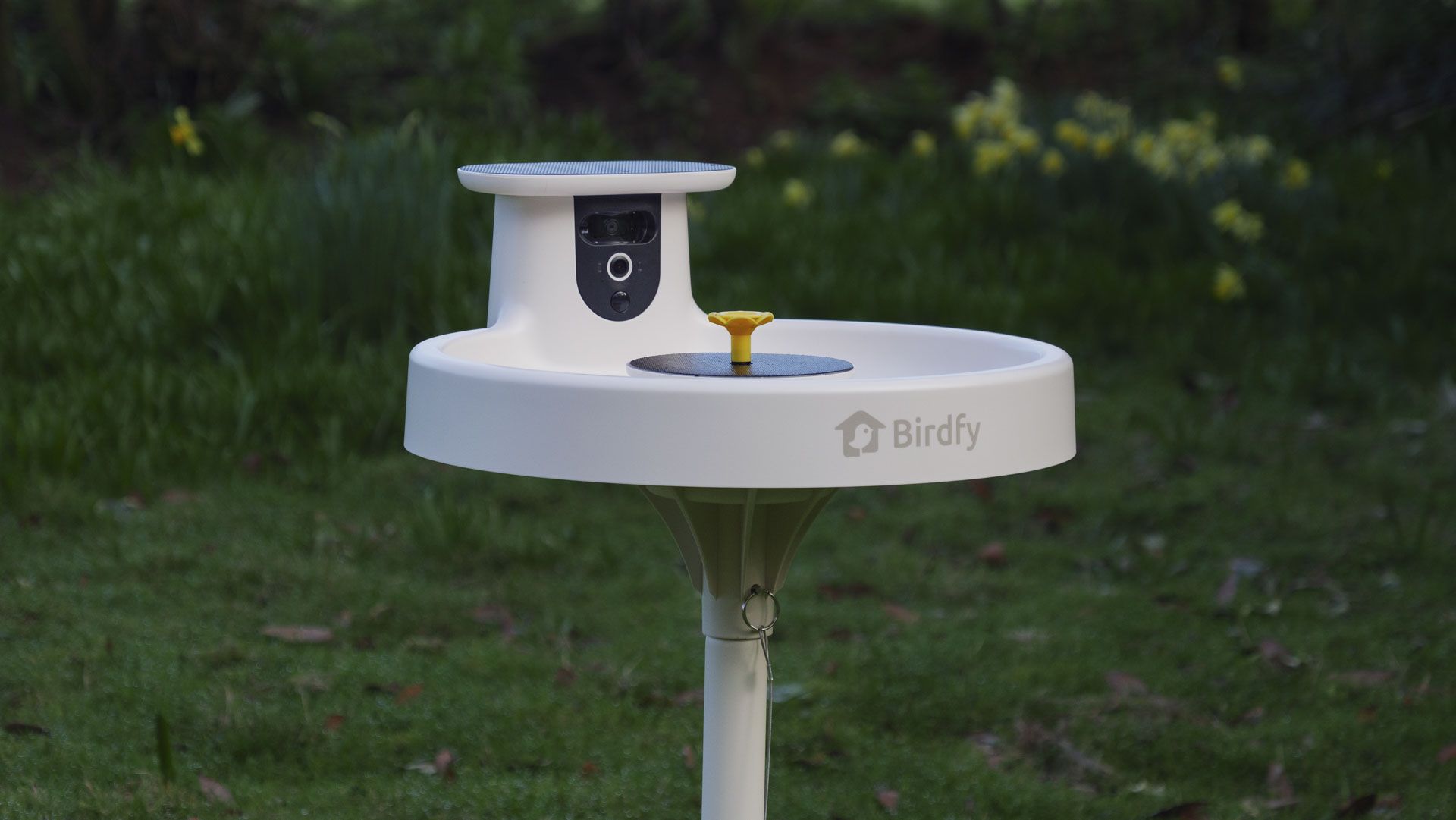 Birdfy Bird Bath Pro