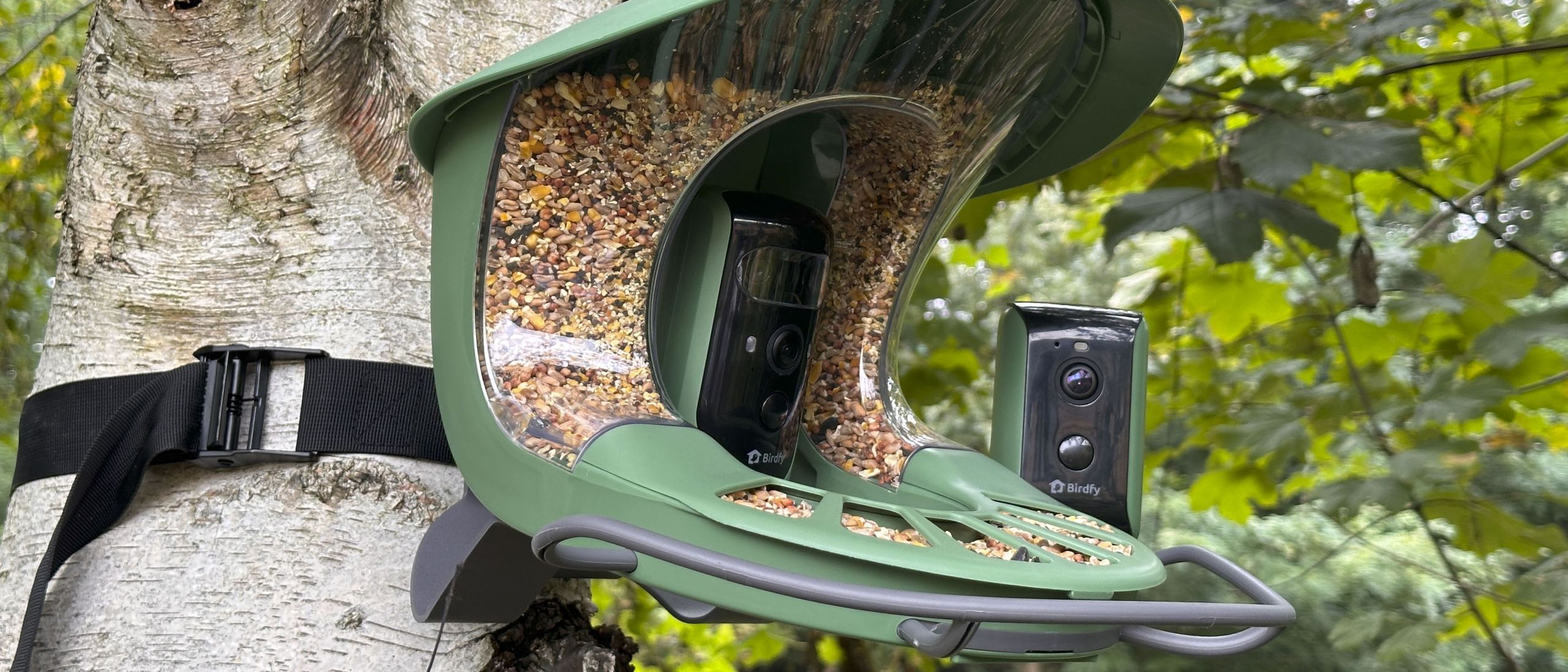 Birdfy Feeder 2 Duo