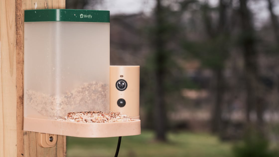 Birdfy Feeder Rookie