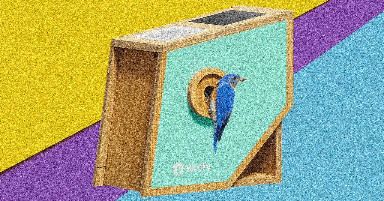 Birdfy Nest Polygon Smart Birdhouse
