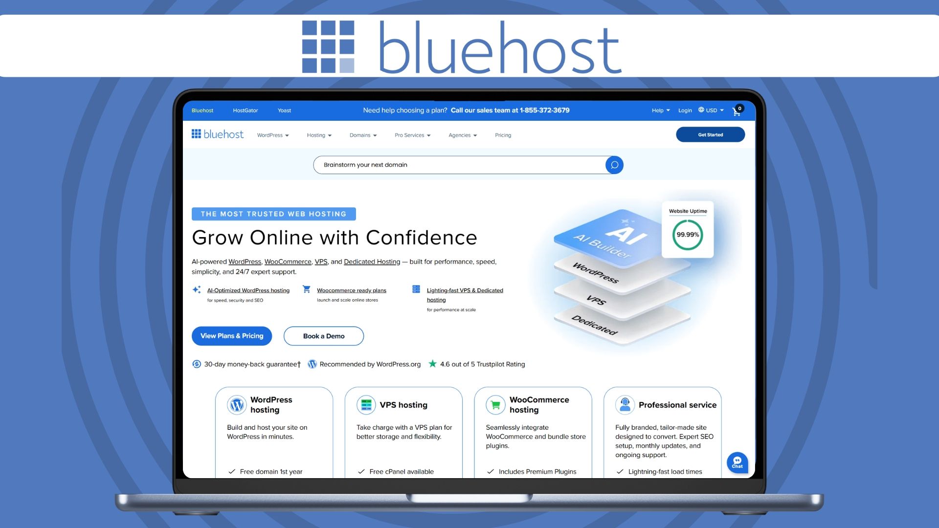 Bluehost VPS