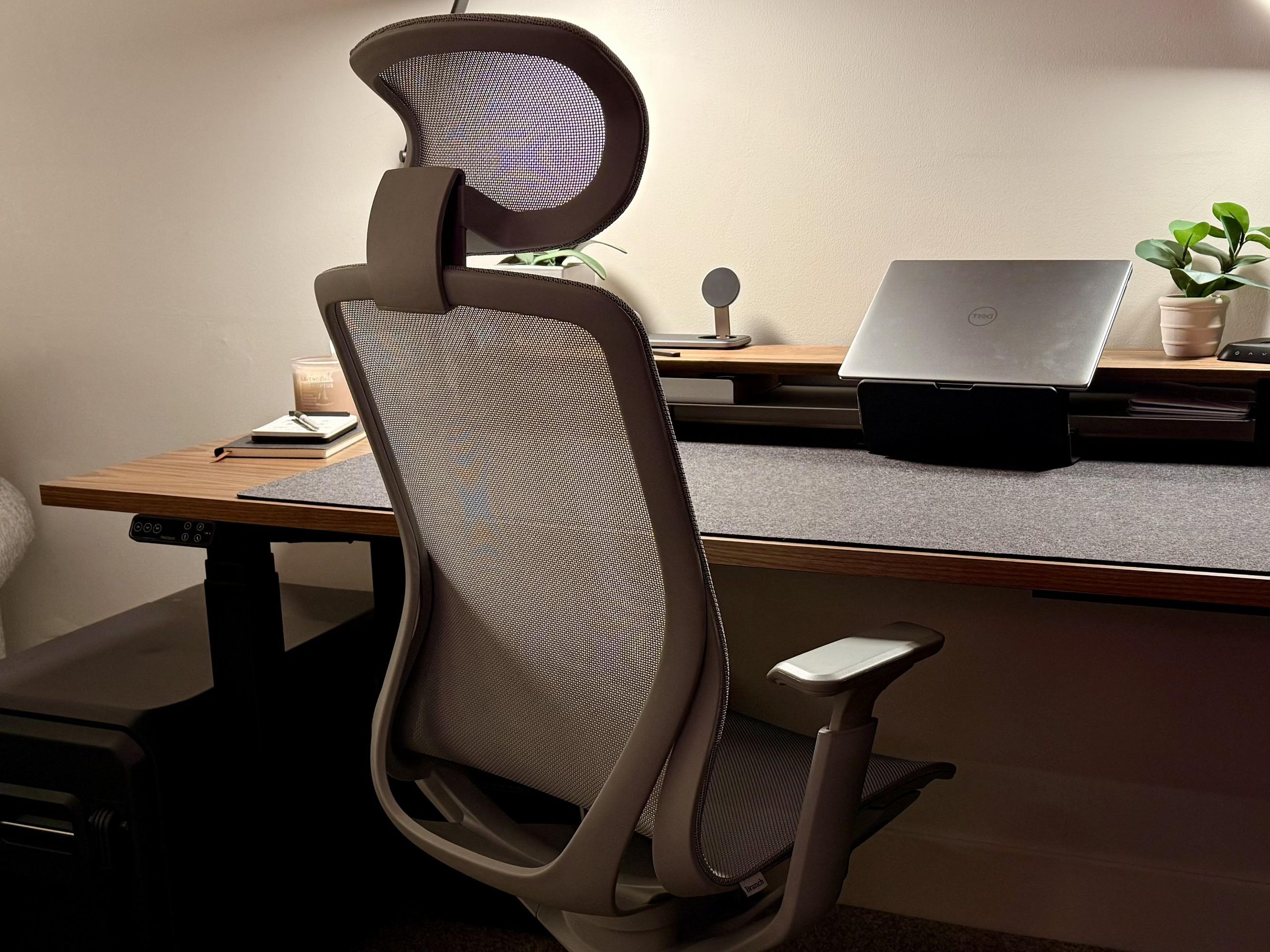 Branch Aire Chair