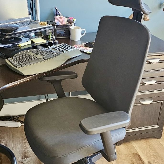 Branch Ergonomic Chair Pro