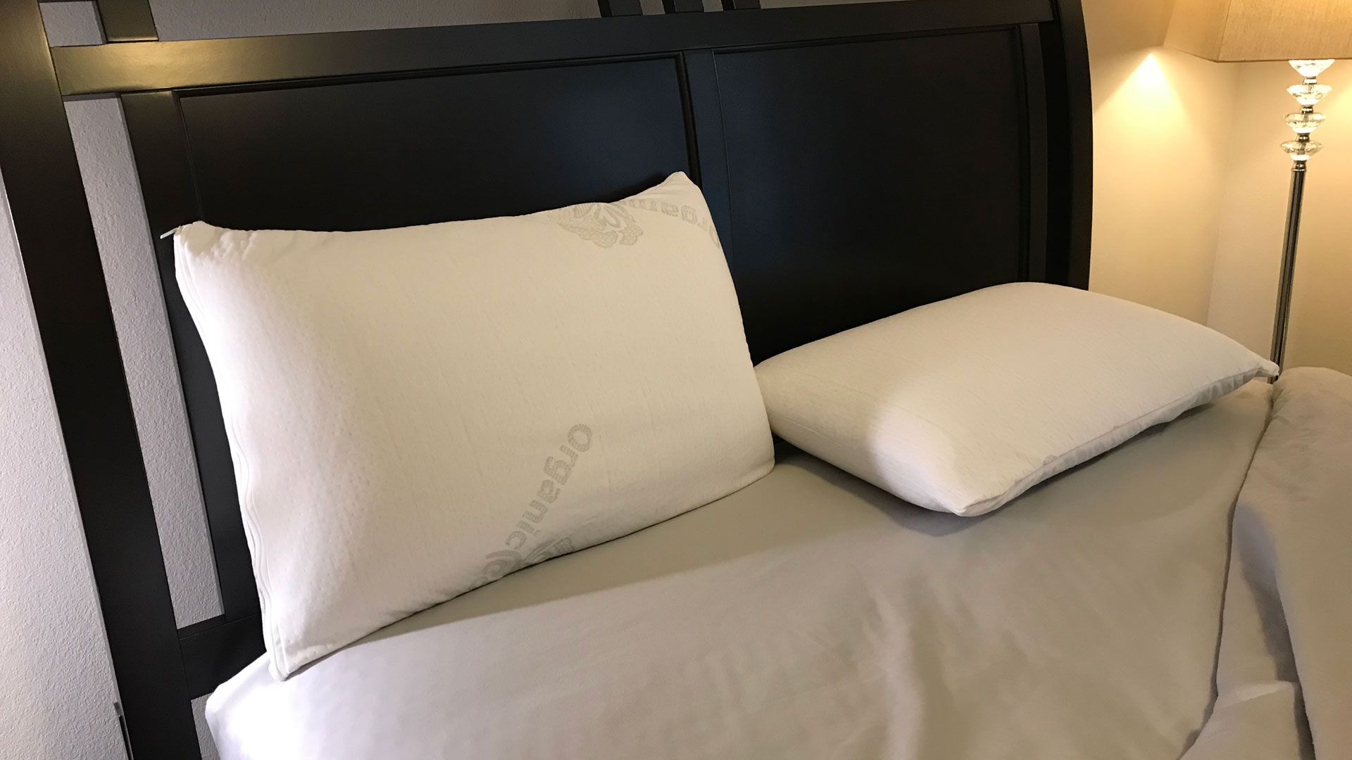 Brooklyn Bedding Talalay Latex Pillow