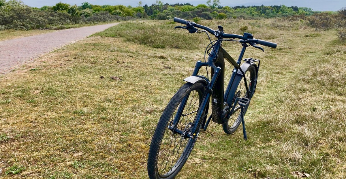 Cannondale Tesoro Neo X Speed