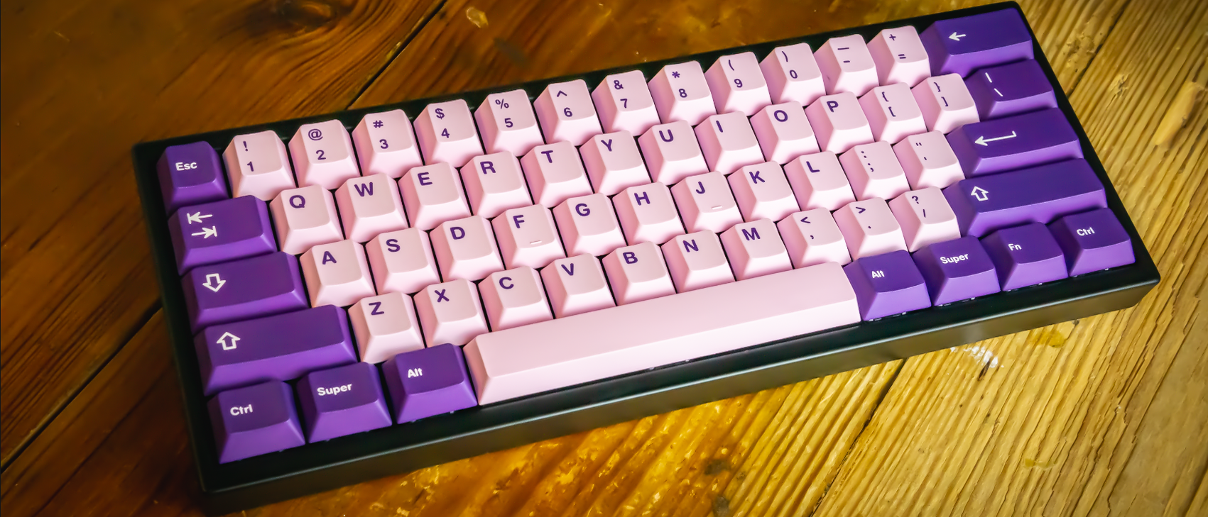 Cannonkeys Bakeneko60
