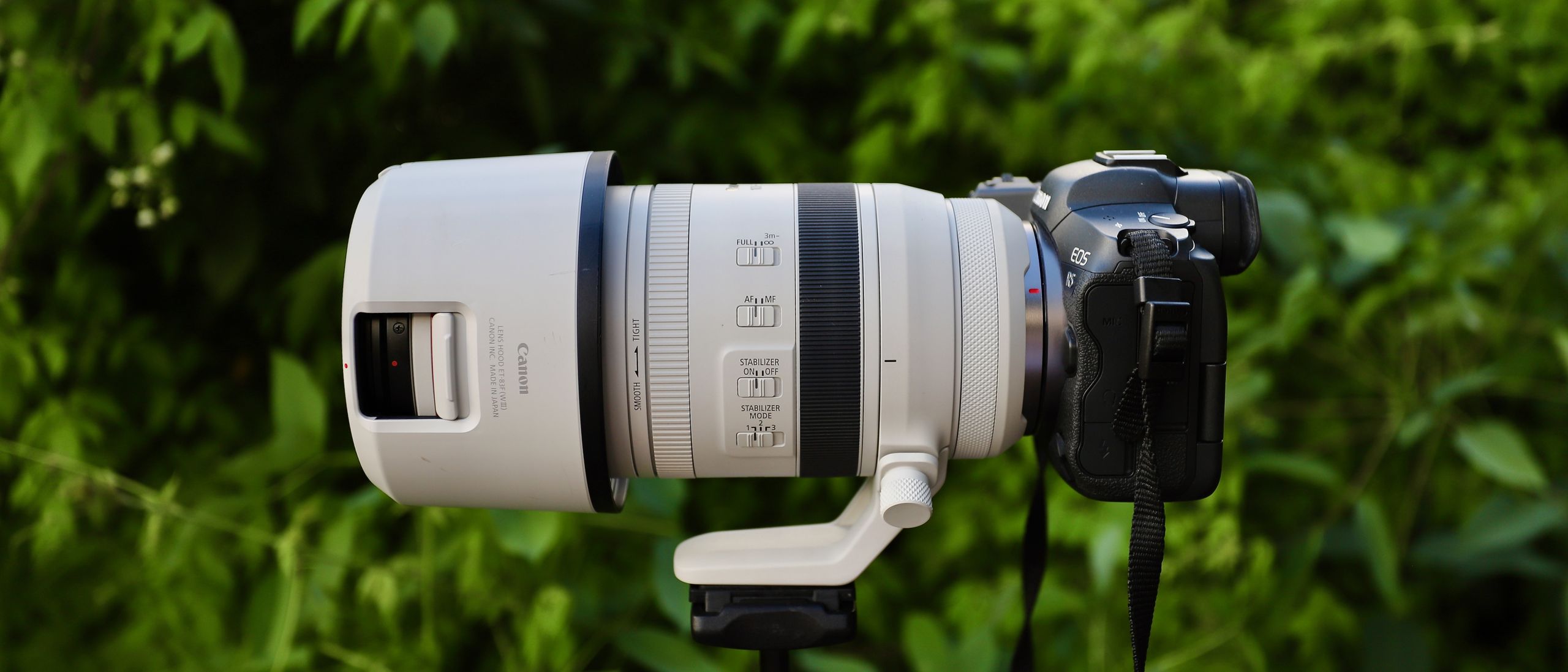 Canon RF 100-500mm f/4.5-7.1L IS USM