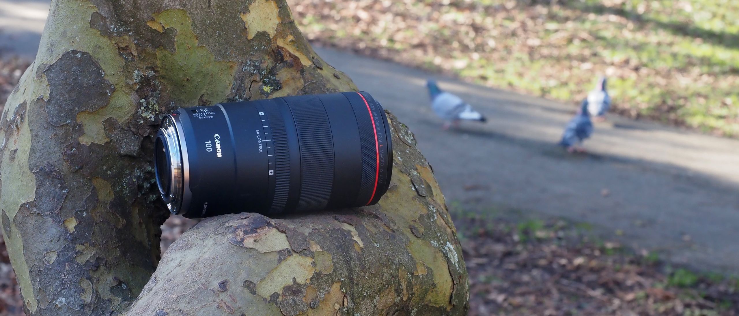 Canon Rf 100Mm F2.8L Macro Is Usm