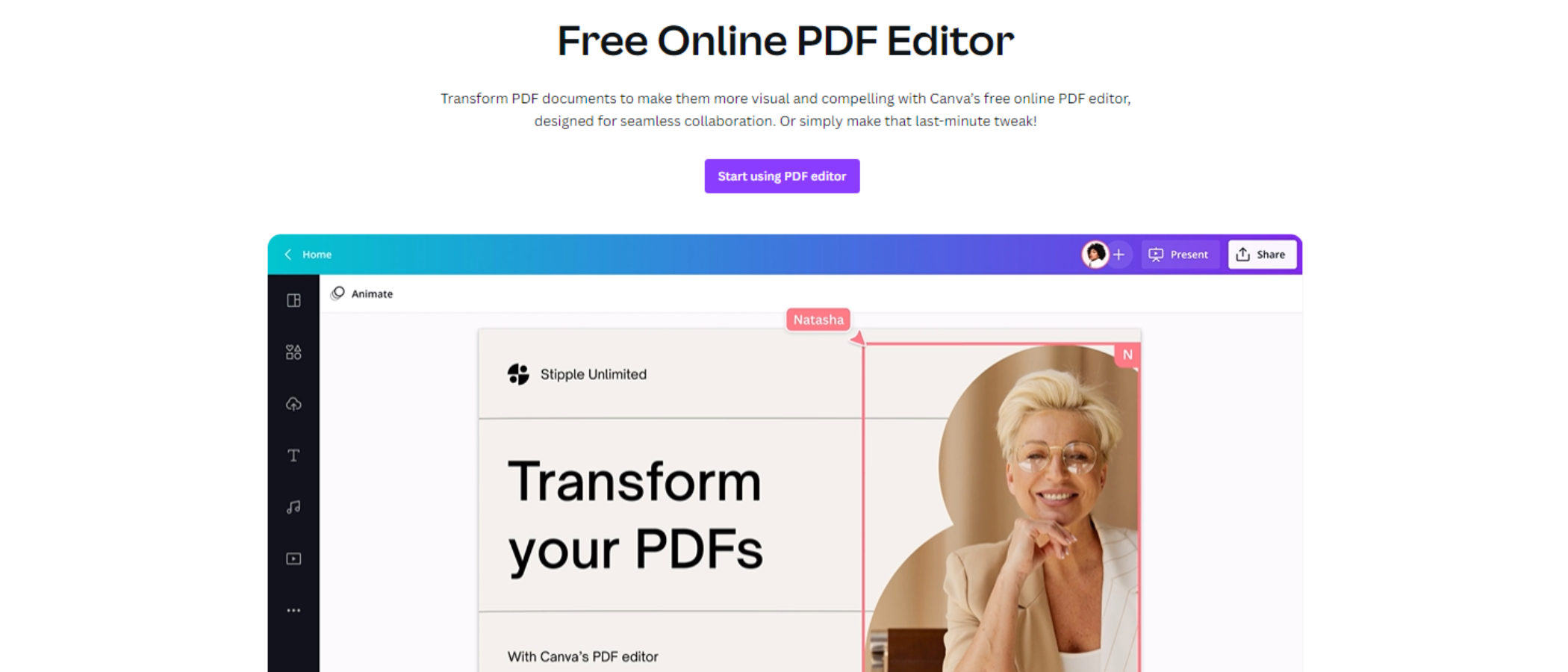 Canva Pdf Editor