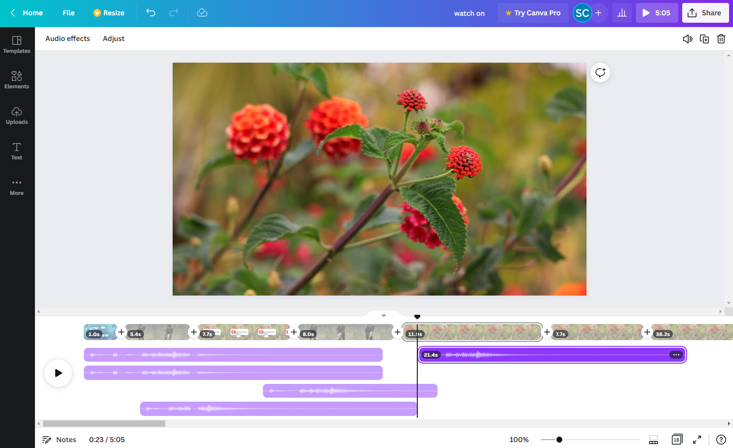 Canva Video