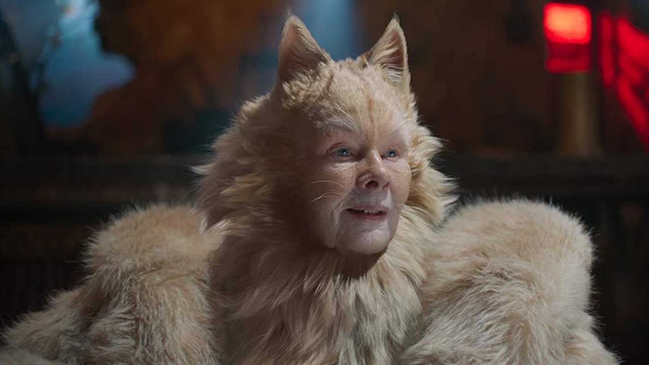 Cats