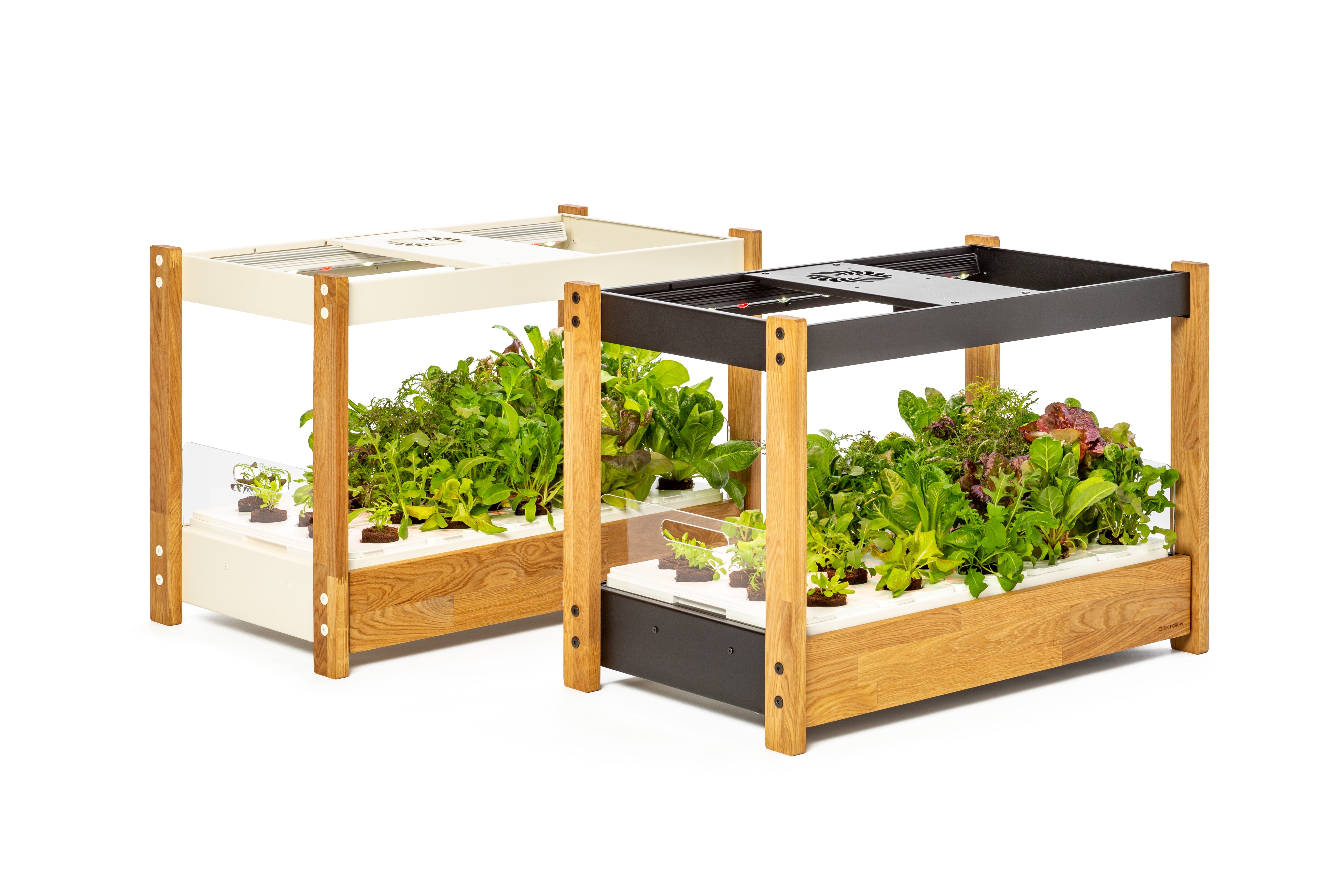 Click  Grow 25