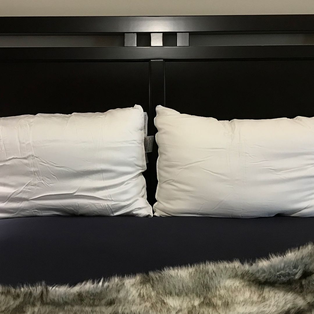 Cozy Earth Silk Pillow