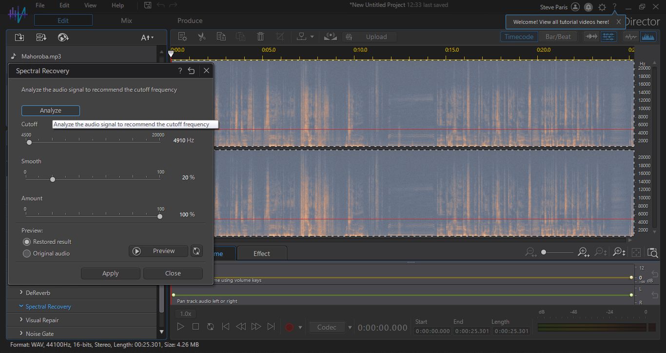 Cyberlink Audiodirector