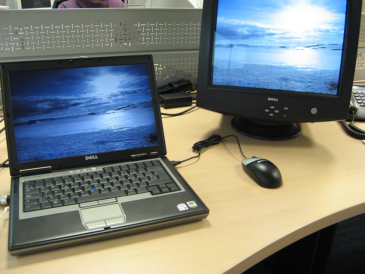 Dell Monitors