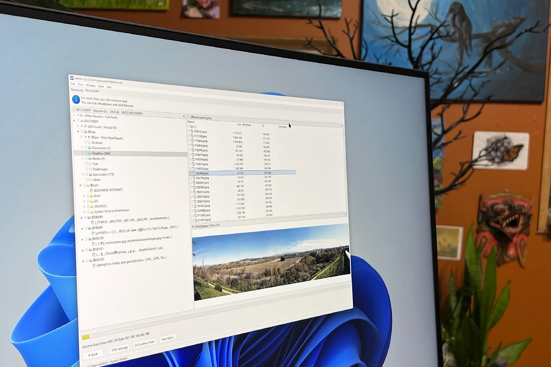 Dmde Professional Data Recovery Software