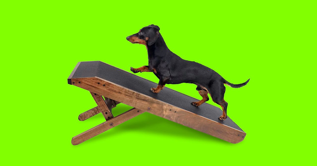 Doggoramps Couch Ramp