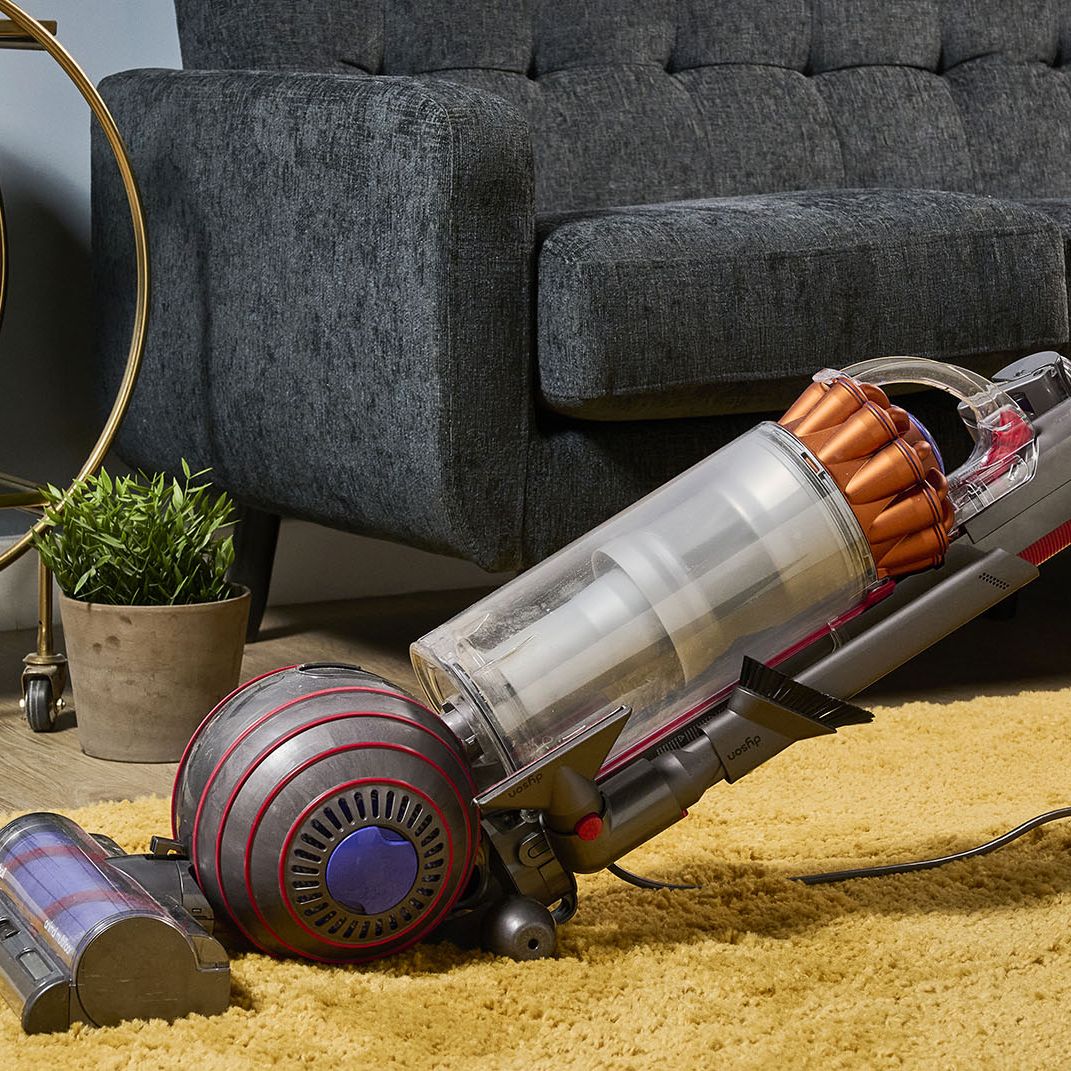 Dyson Ball Animal 3