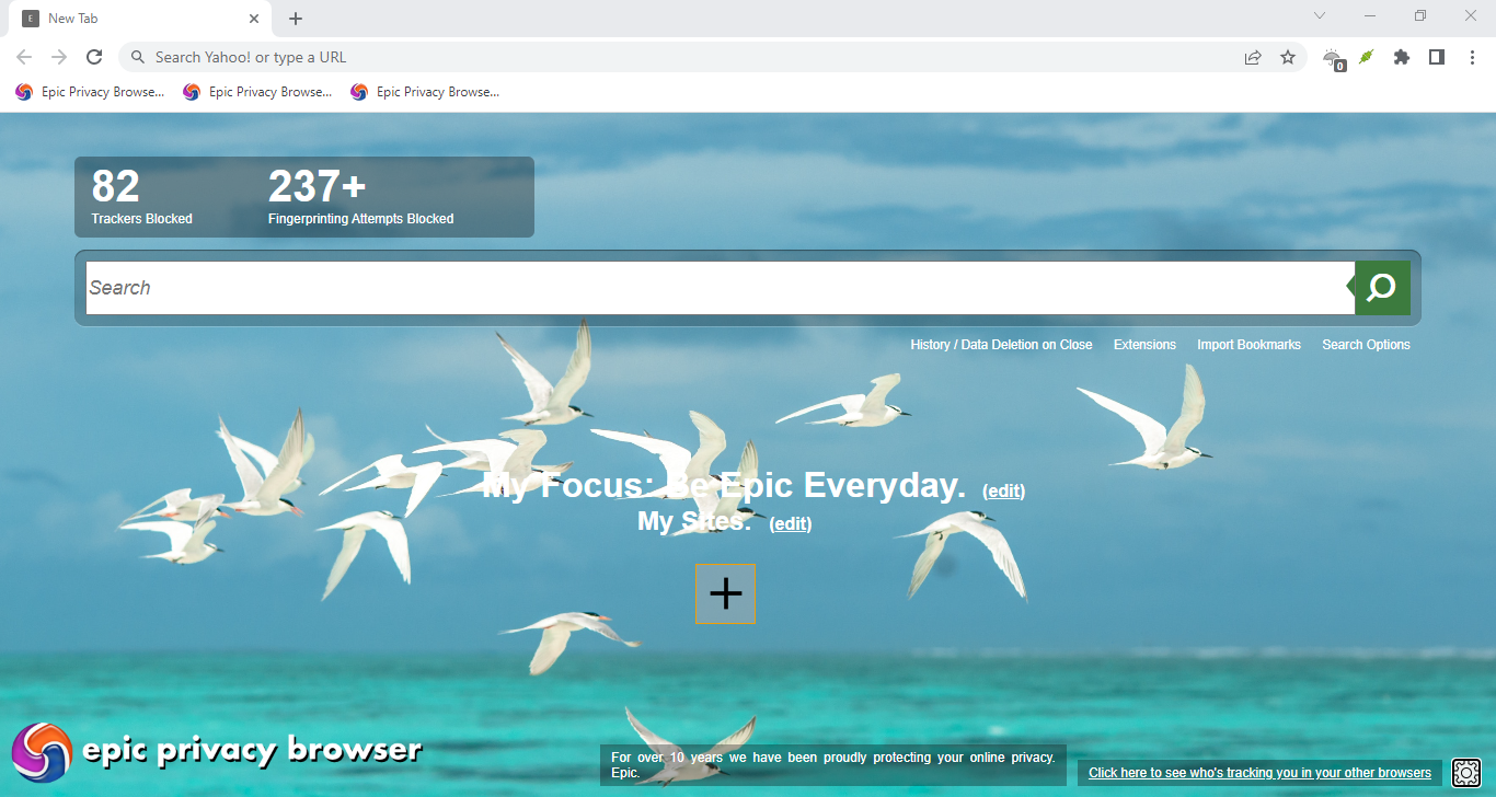 Epic Browser