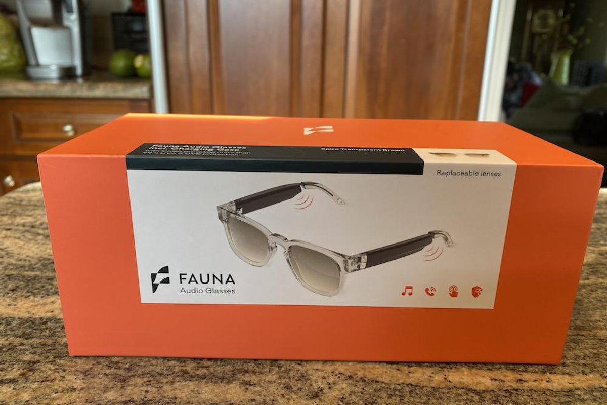 Fauna Audio Glasses