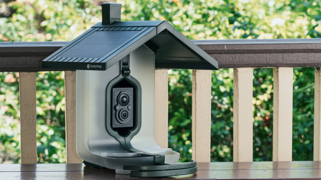 FeatherSnap Scout bird feeder camera