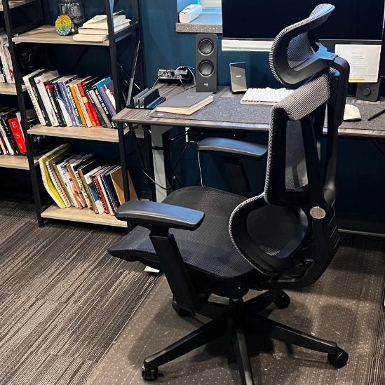 Flexispot C7 Premium Ergonomic Office Chair