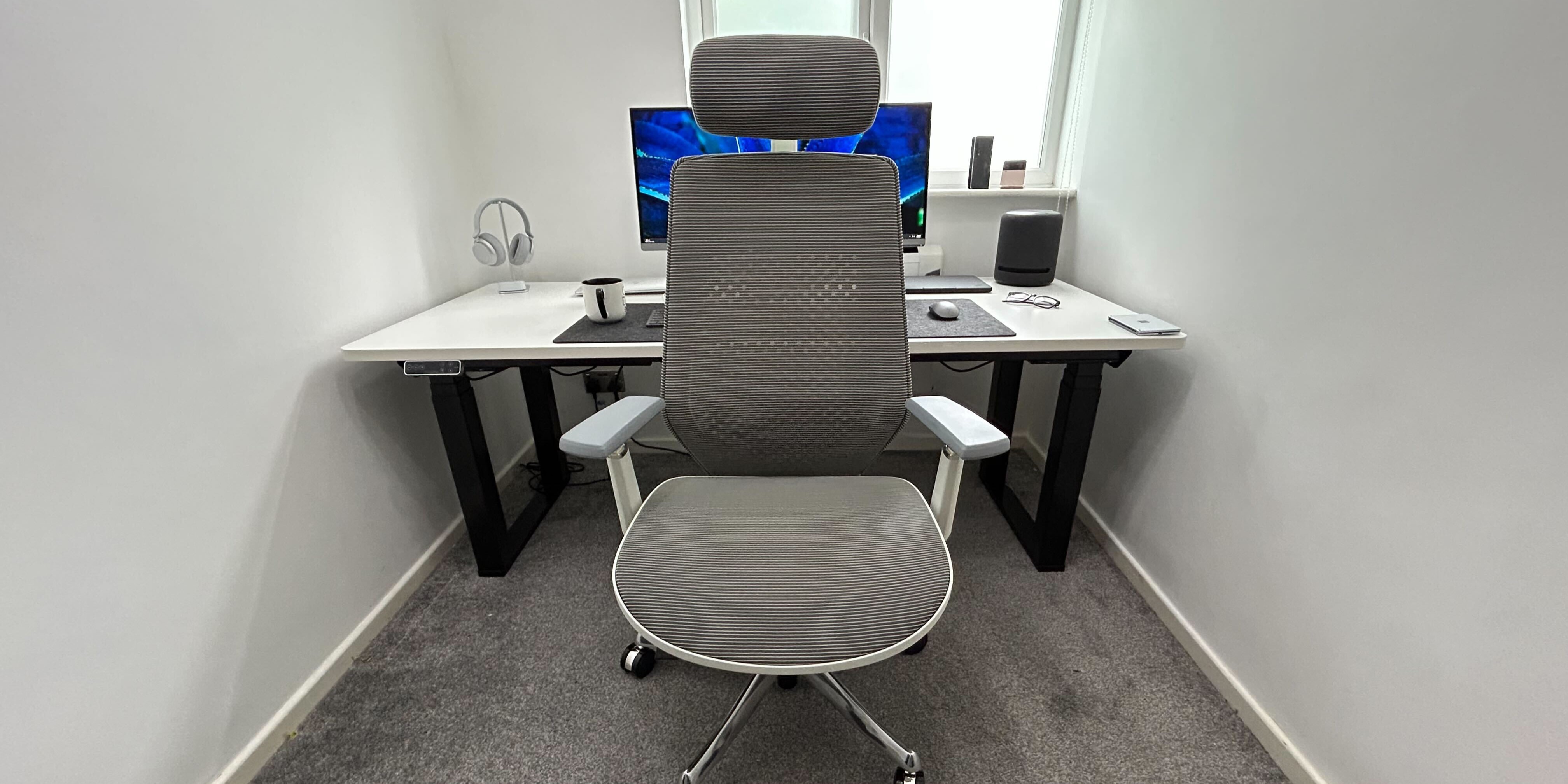 Flexispot Ergonomic Chair BS11 Pro