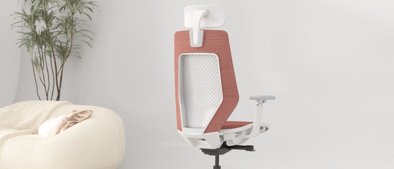 Flexispot OC14 Ergonomic Chair Pro