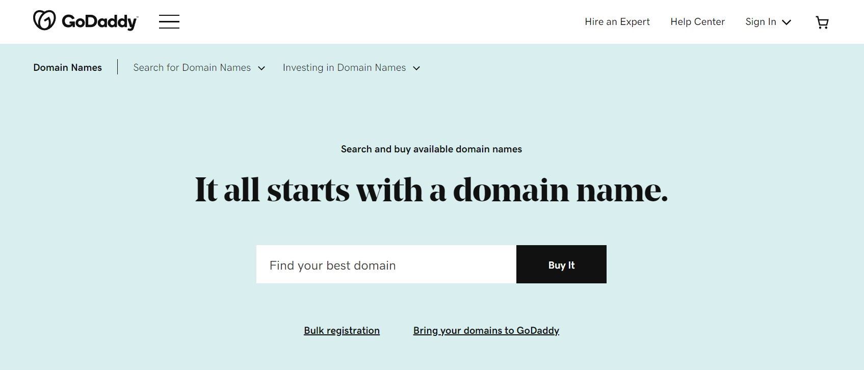 Godaddy Domain Registration Service
