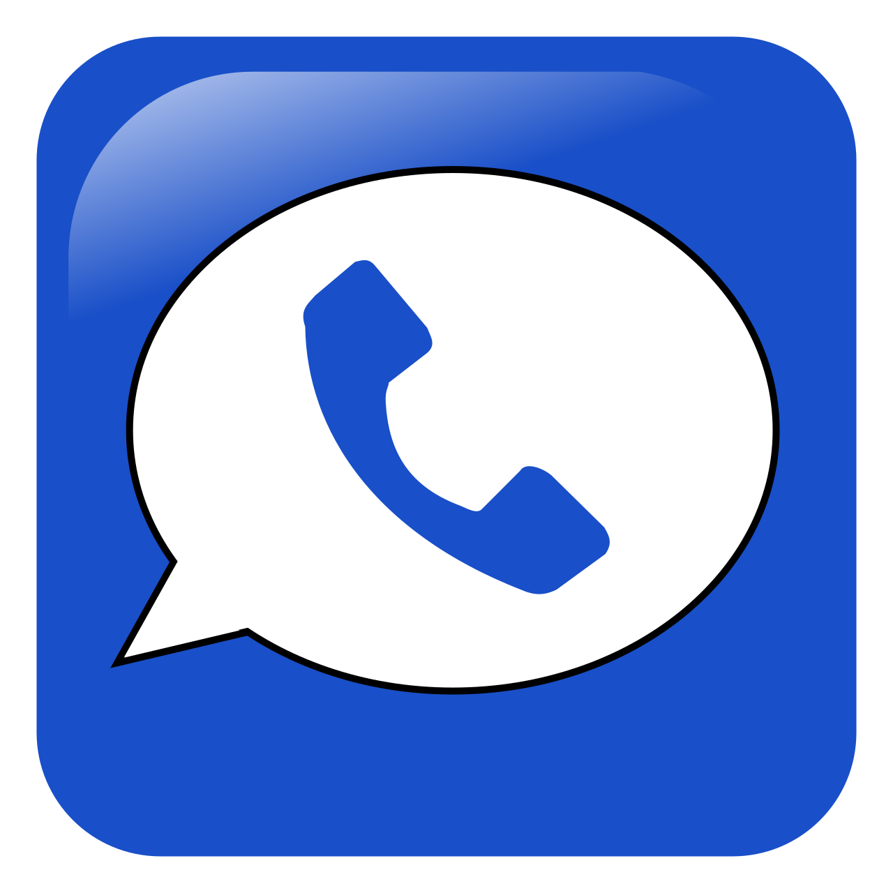 Google Voice