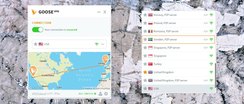 Goose VPN