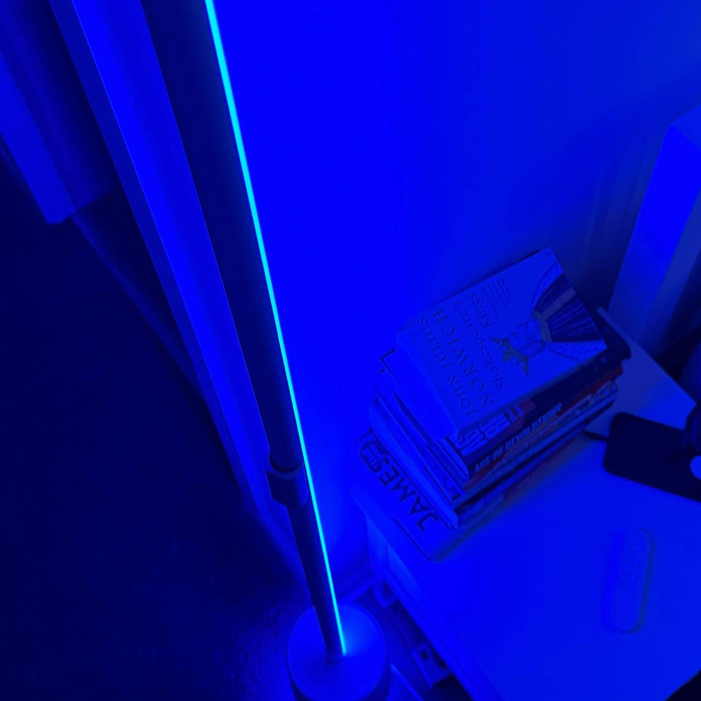 Govee Floor Lamp Pro