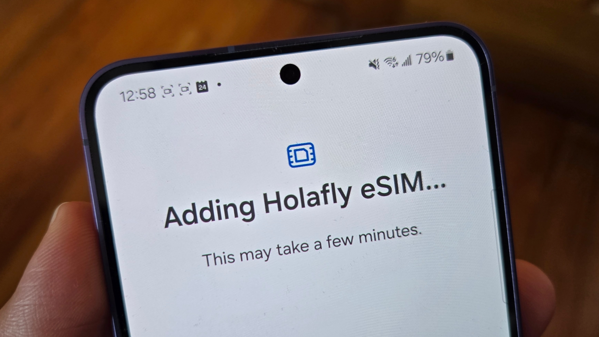 Holafly Esim