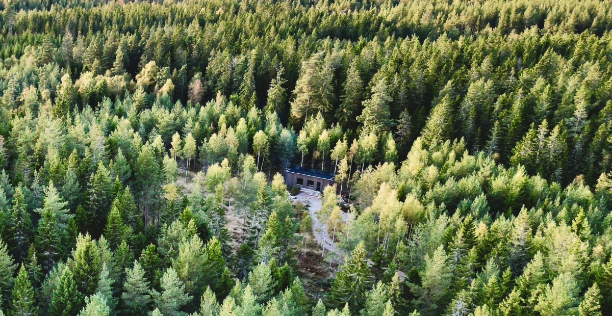InForest off-grid cabin
