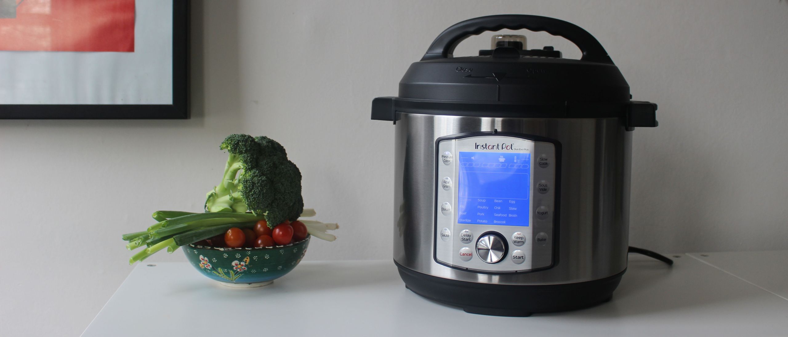 Instant Pot Duo Evo Plus